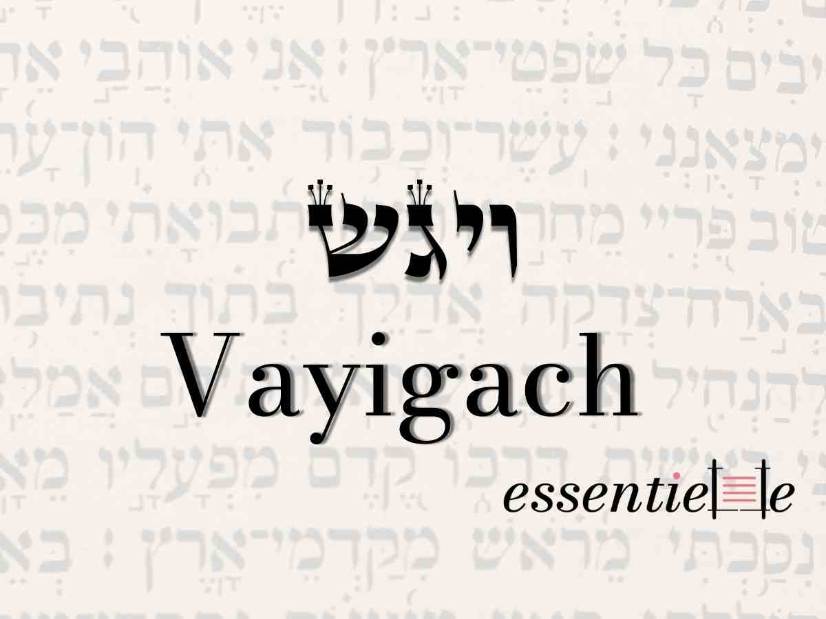 Vayigach - Le reproche qui rapproche par Mariacha Drai