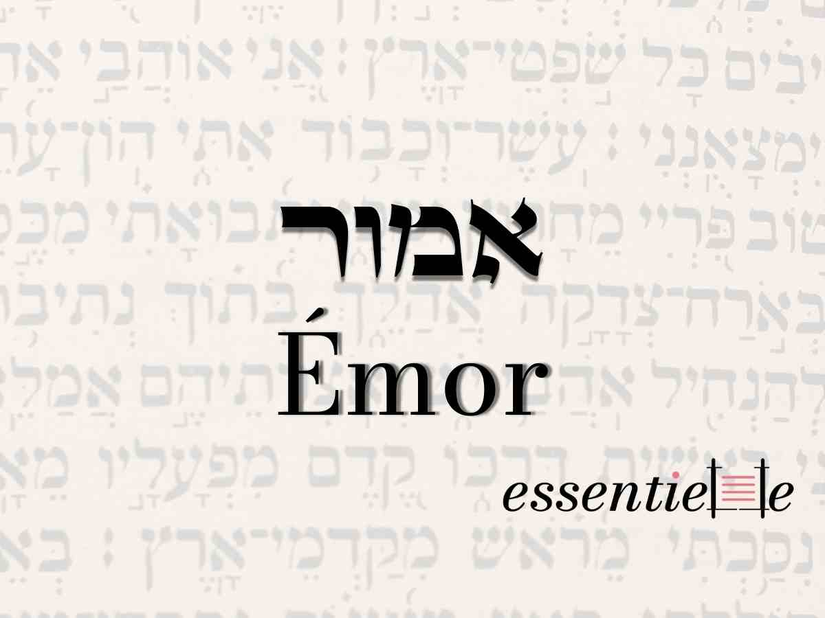 Emor - Découvrir nos secrets par la Torah des secrets par Mariacha Drai