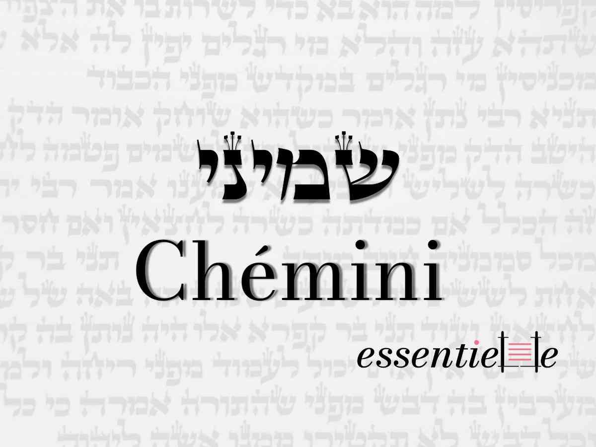 Chémini - De la joie de Pourim à la joie de Pessah par Mariacha Drai