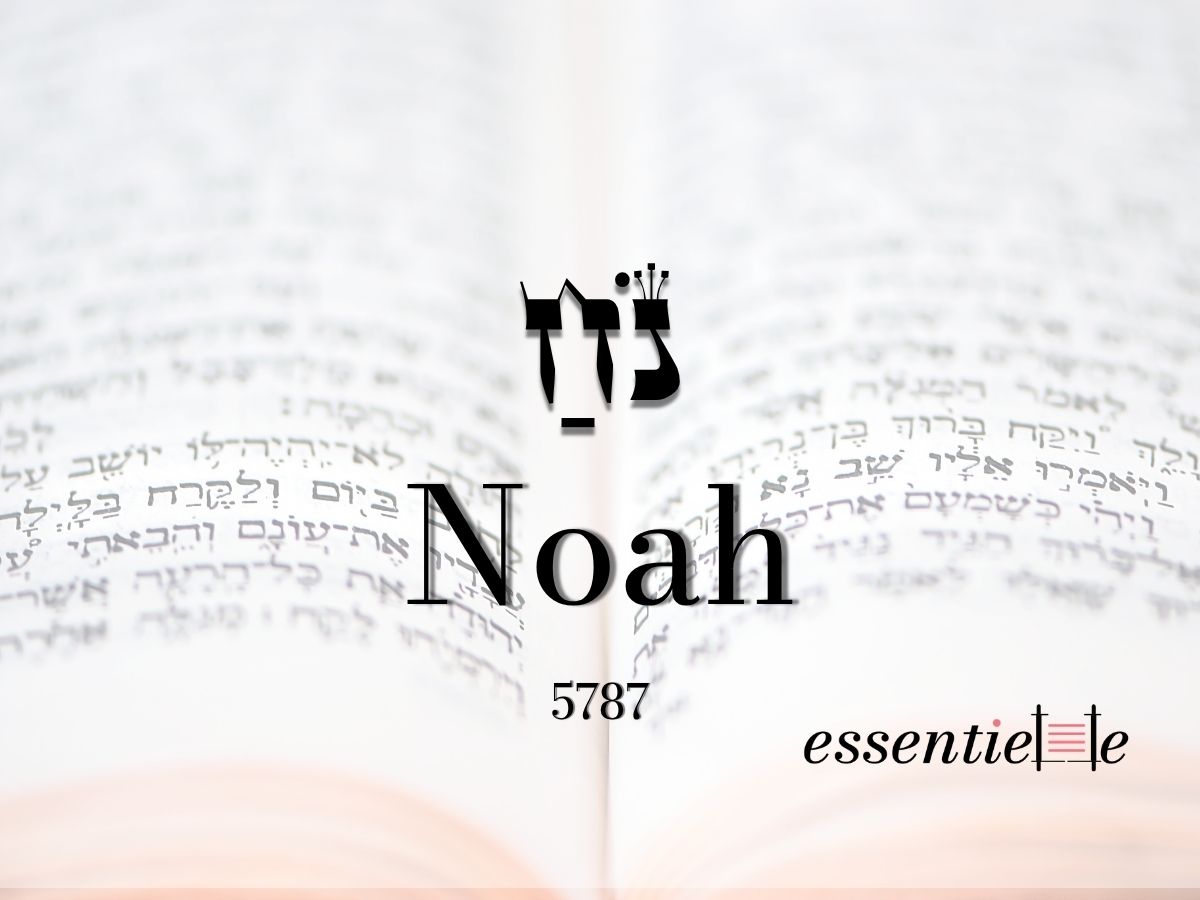Noah - Comment sortir de l'arche ? par Mariacha Drai sur essentiELLE