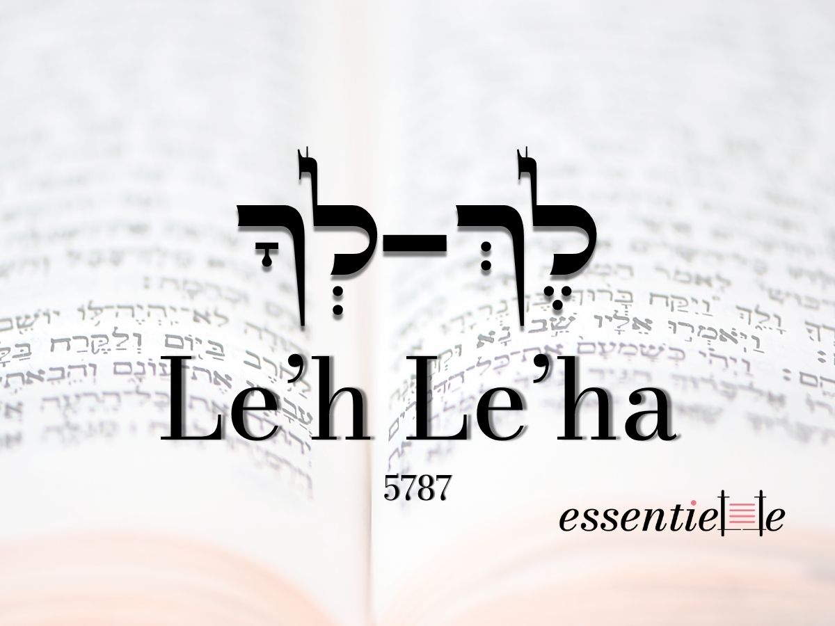Leh leha - Revenir vers soi même par Mariacha Drai sur essentiELLE