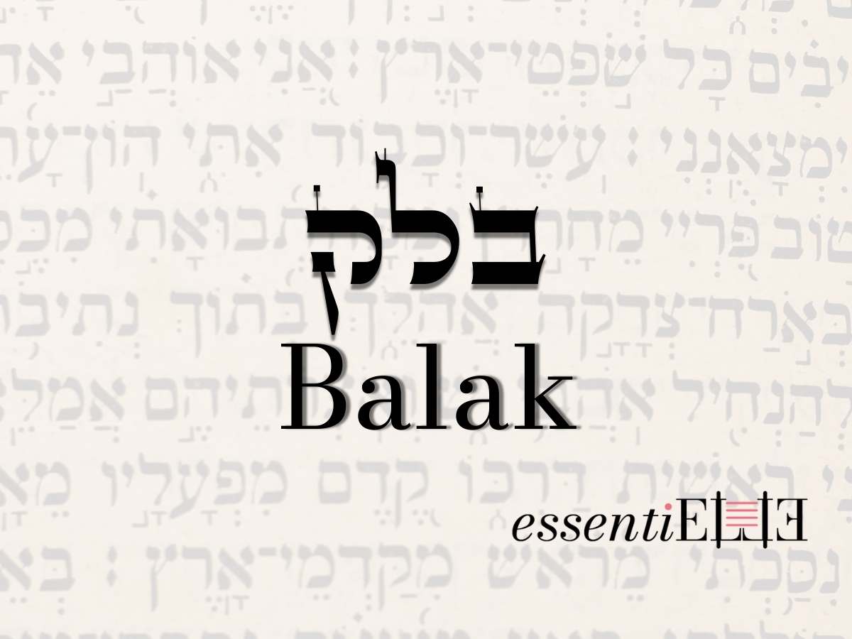 Balak - Bon œil et mauvais œil par Mariacha Drai