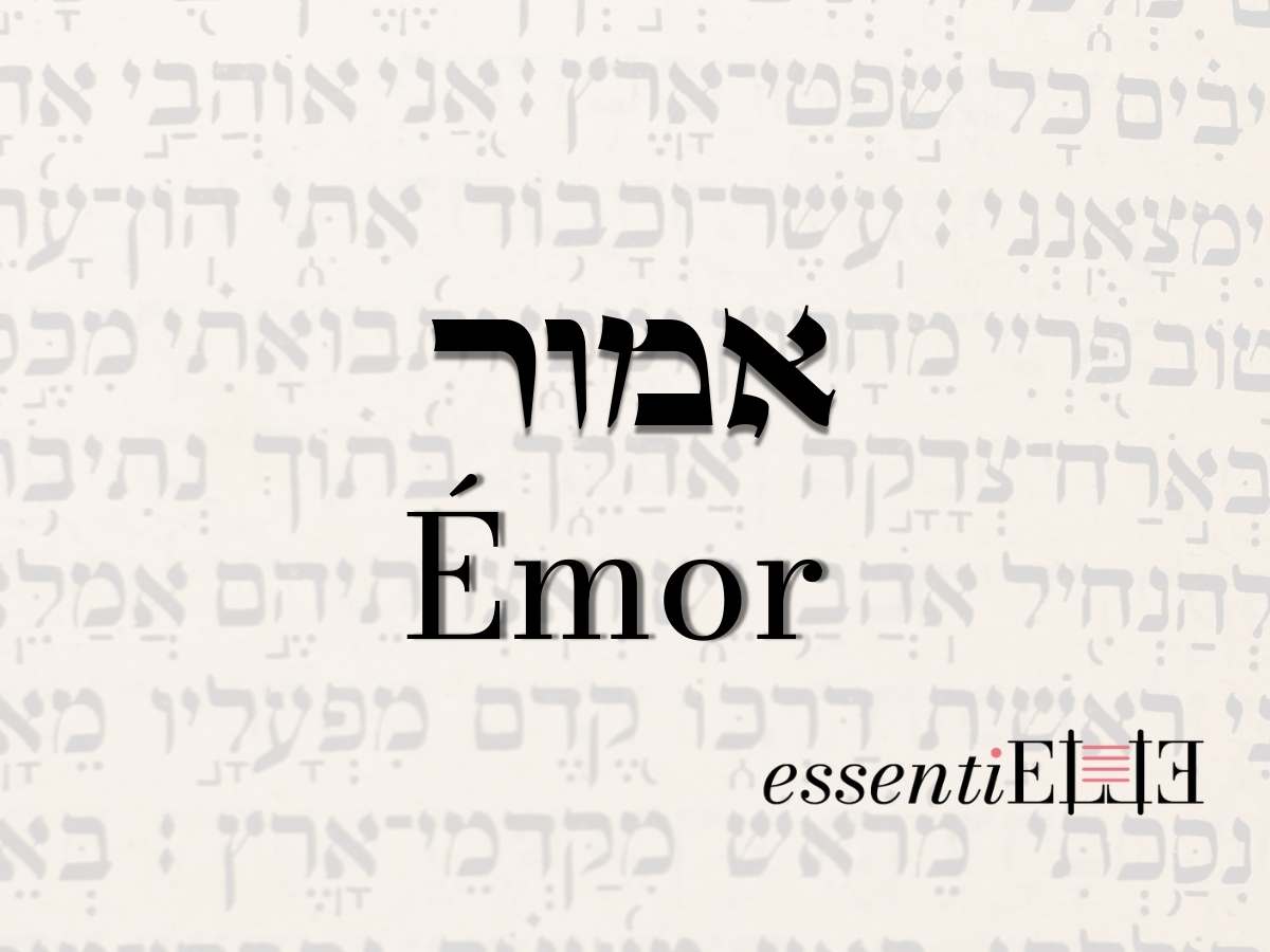 Emor - Découvrir nos secrets par la Torah des secrets par Mariacha Drai