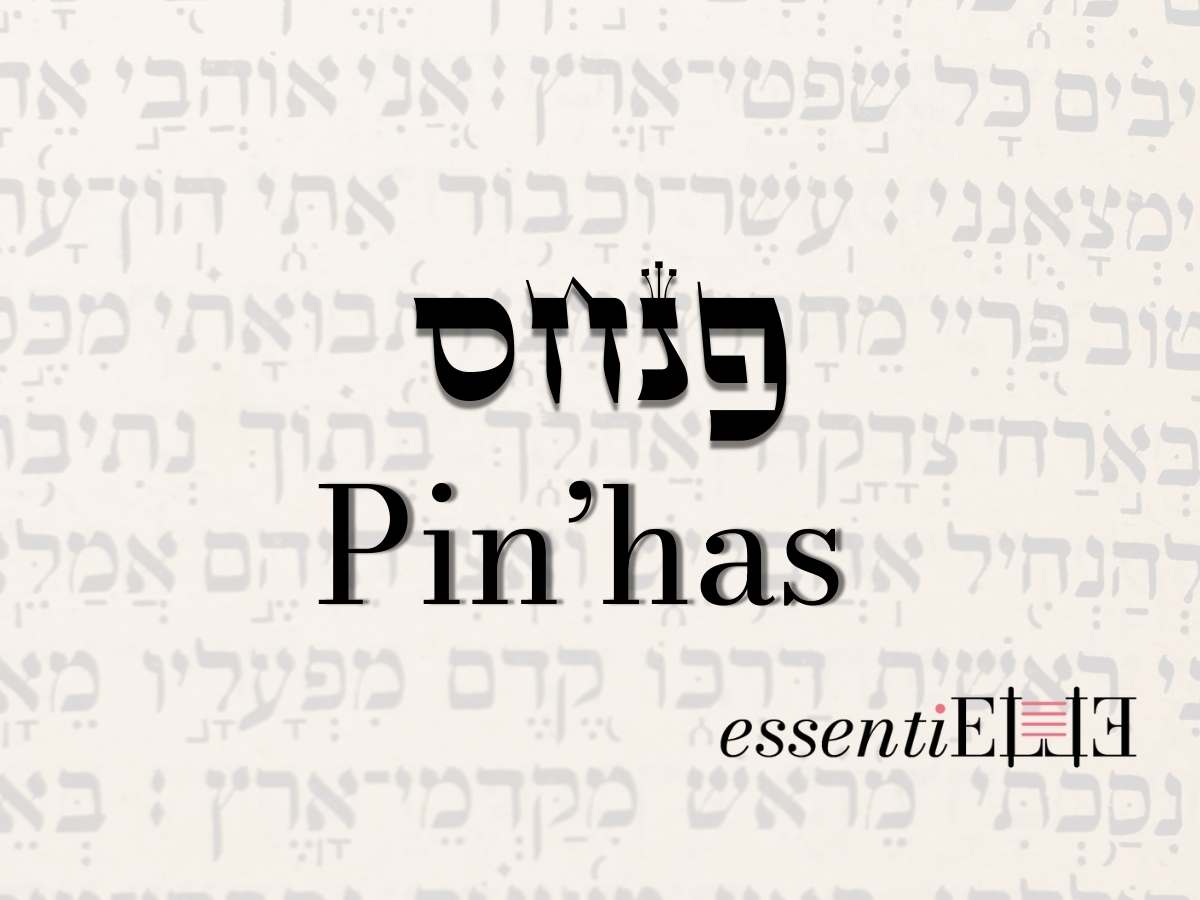 Pinhas - Le féminisme biblique par Mariacha Drai