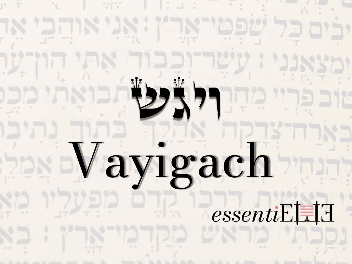 Vayigach - Le reproche qui rapproche par Mariacha Drai
