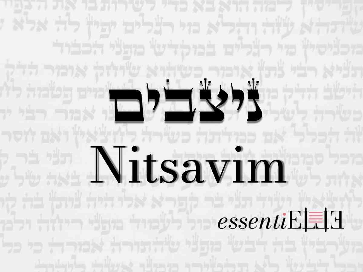 Nitsavim - La voix des mères juives par Mariacha Drai sur essentiELLE