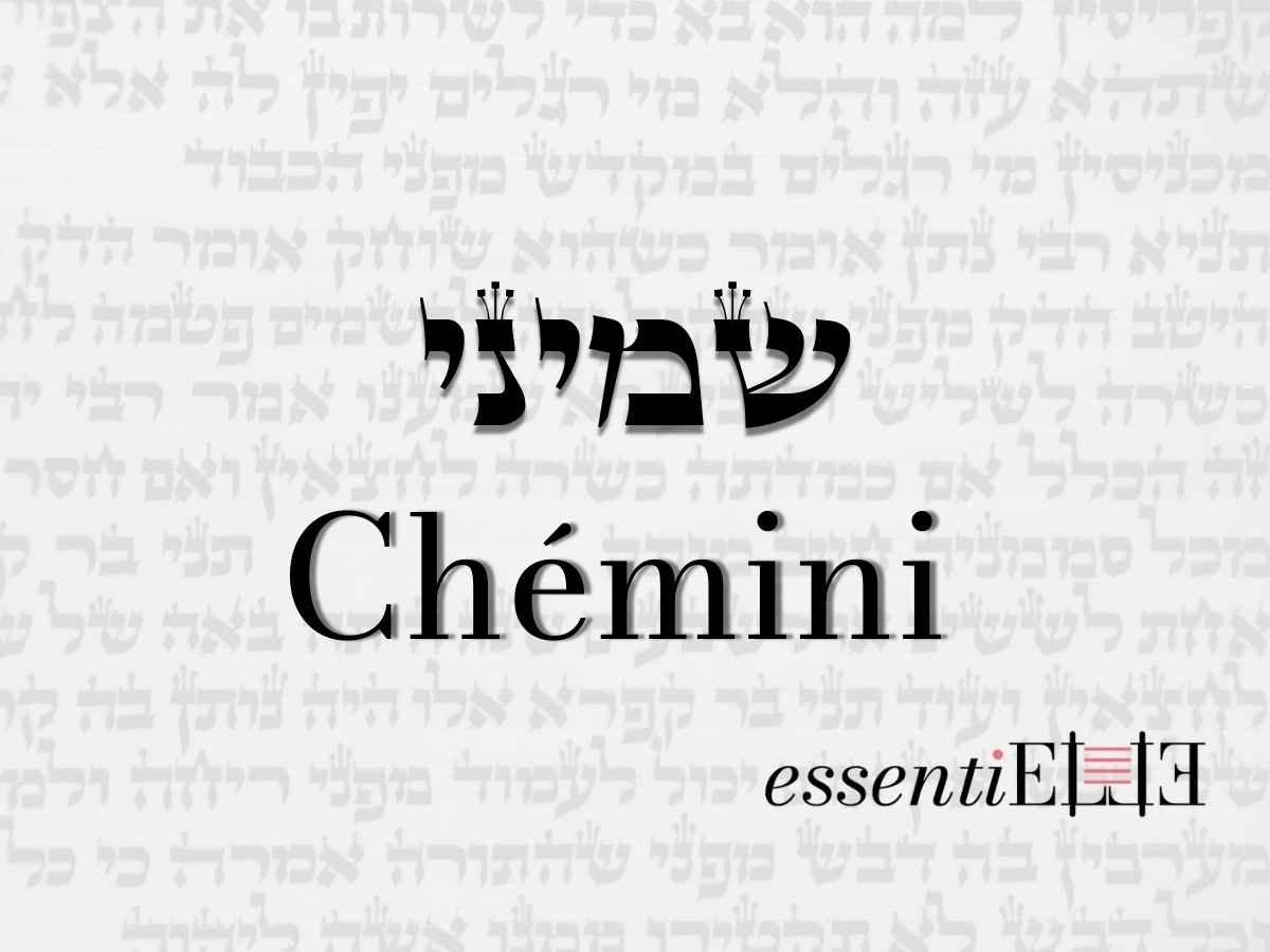 Chémini - De la joie de Pourim à la joie de Pessah par Mariacha Drai