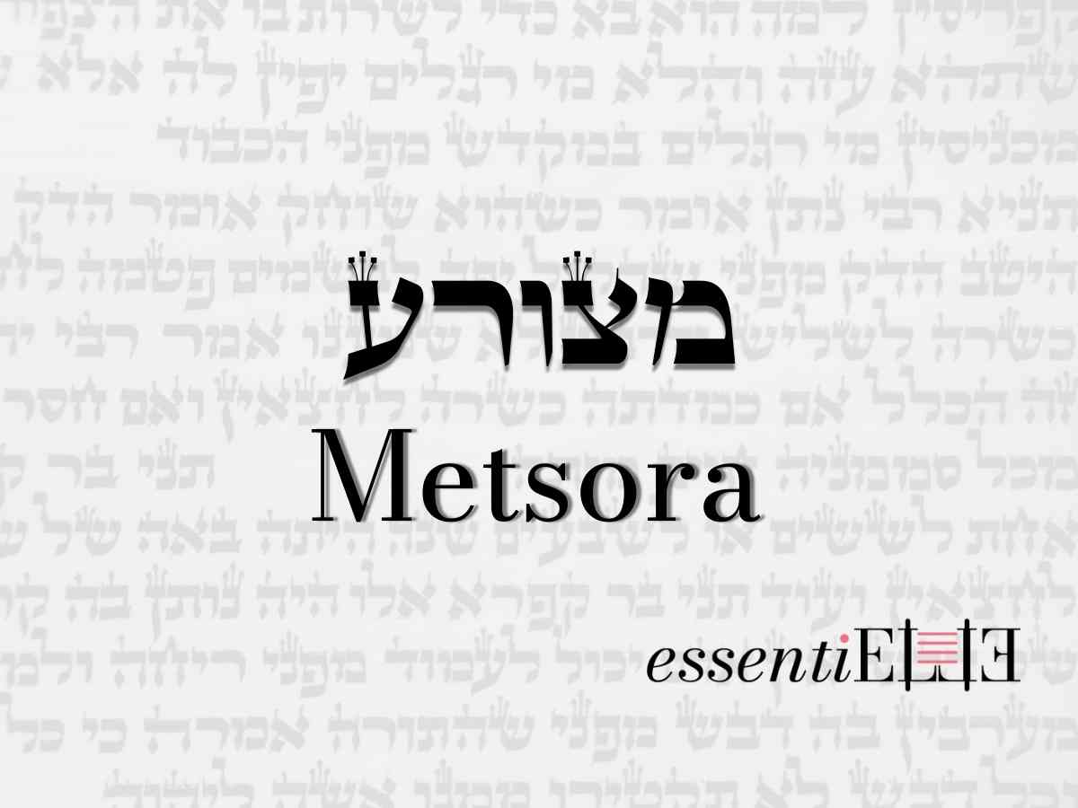 Metsora - Comment raconter sa story  par Mariacha Drai