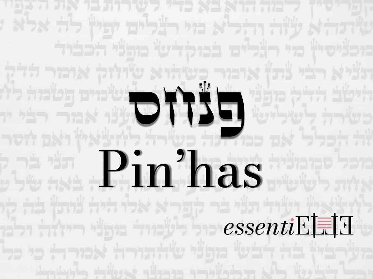Pinhas - Le maillon d'une chaine par Mariacha Drai