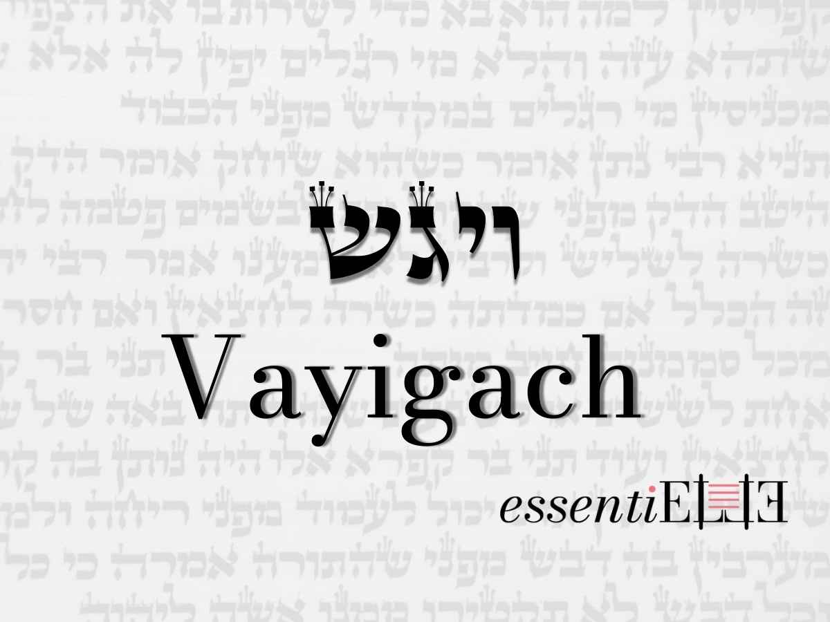 Vayigach - Apprendre à pardonner par Mariacha Drai