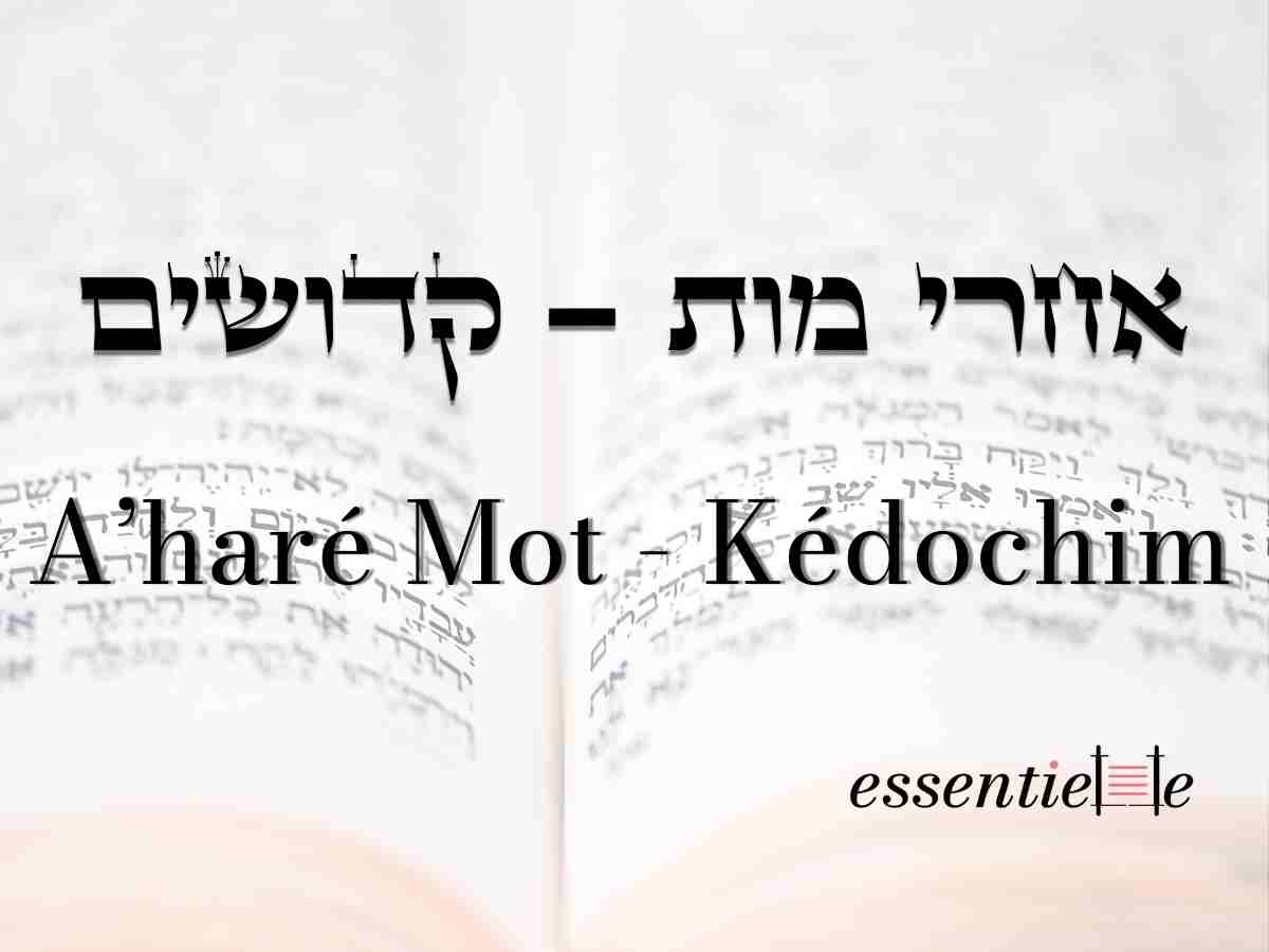 Aharé Mot - Kédochim - Réciprocité et loyauté  par Mariacha Drai