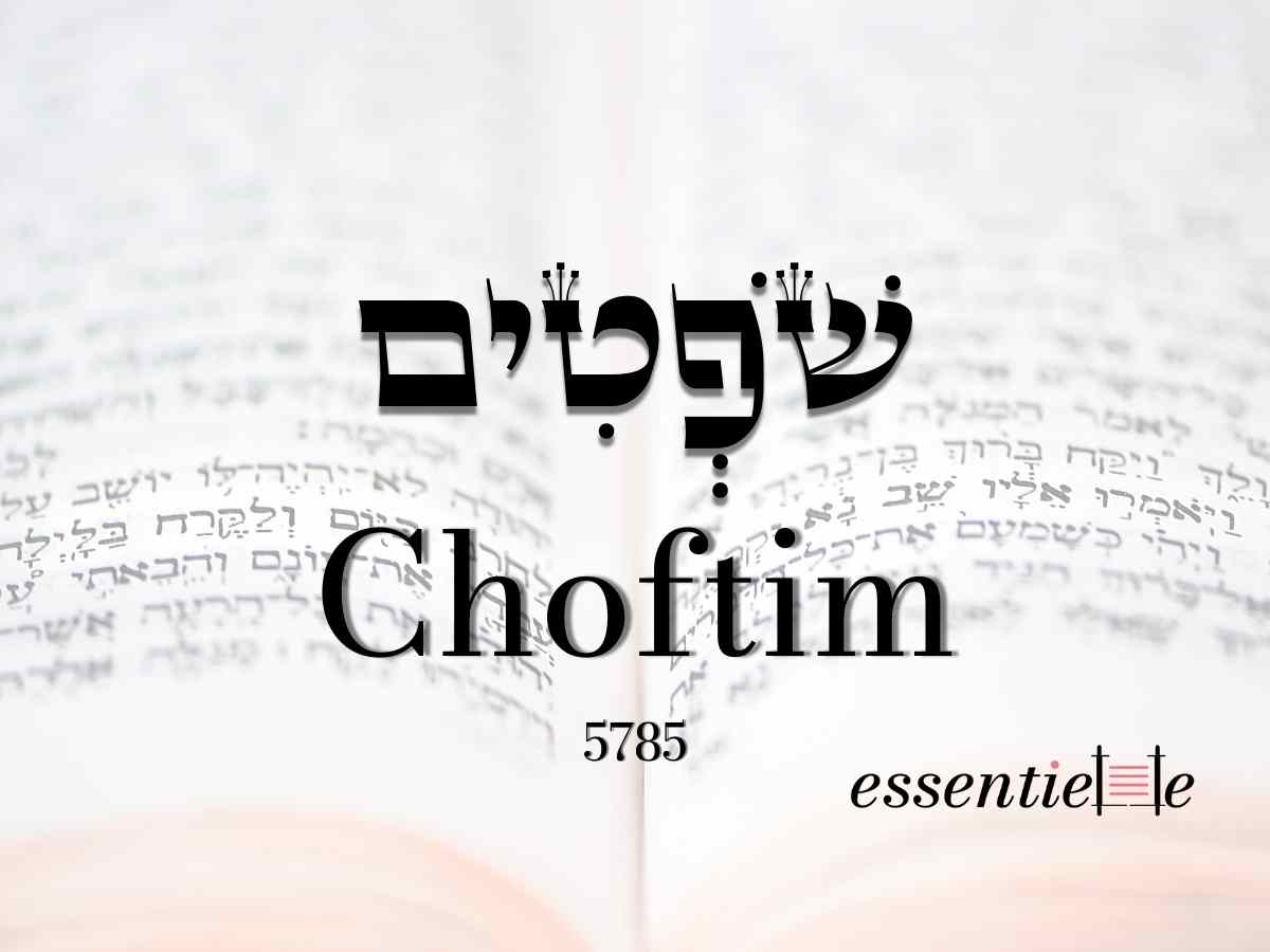 Choftim - La Torah nous rend-elle meilleurs ?  par Mariacha Drai sur essentiELLE