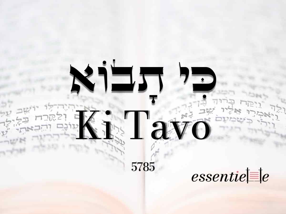 Ki Tavo - La création d’un peuple par Mariacha Drai sur essentiELLE