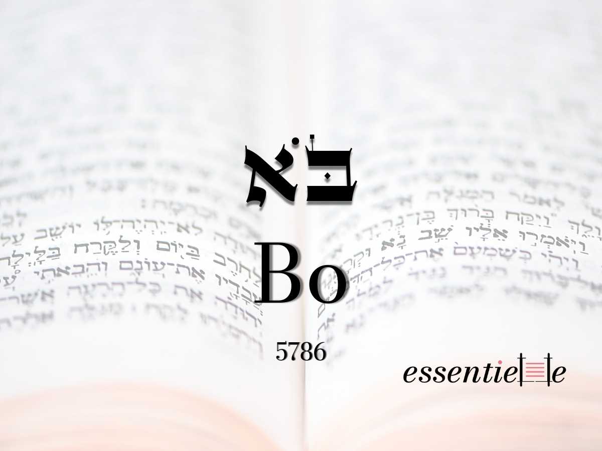 Bo - Sortir de sa zone de confort par Mariacha Drai sur essentiELLE