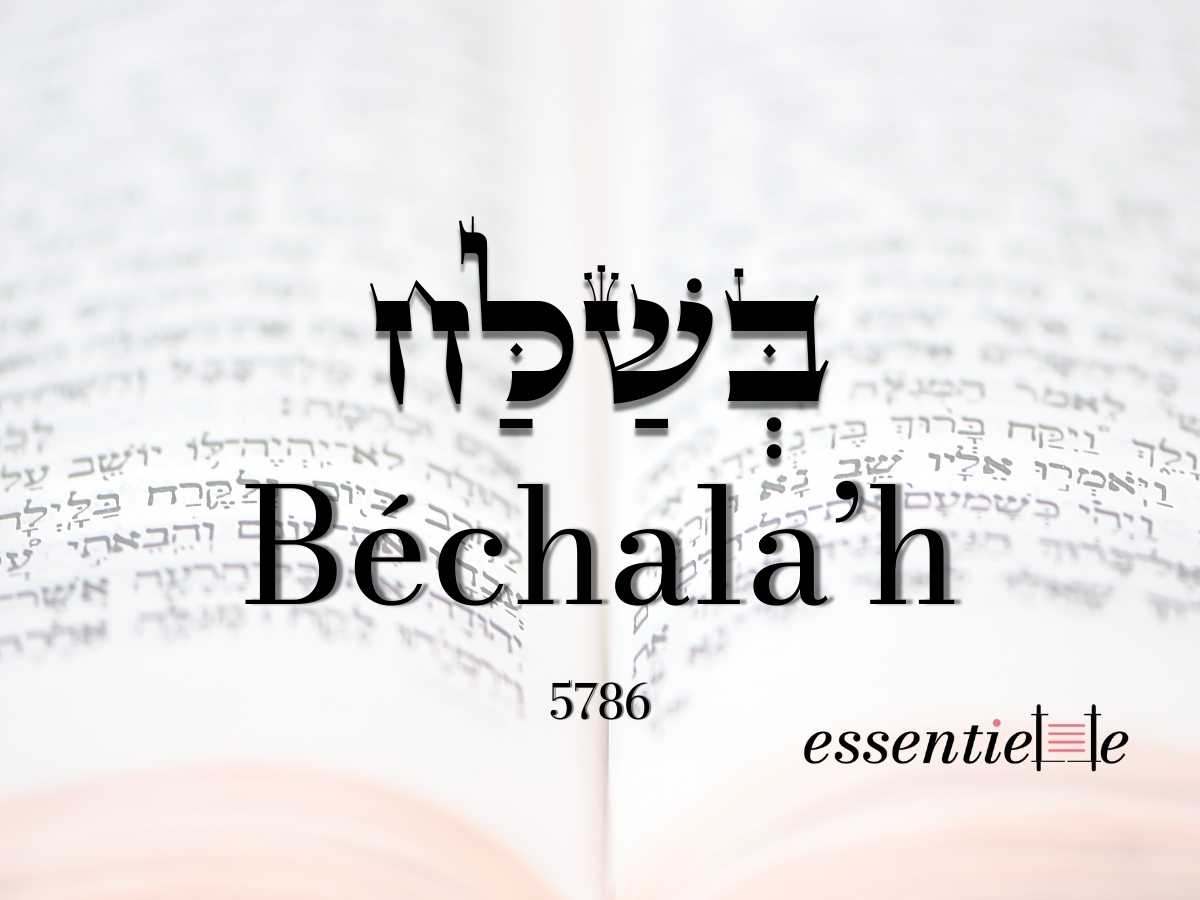 Béchala'h - Tout est de D.ieu et tout est à faire ! par Mariacha Drai sur essentiELLE