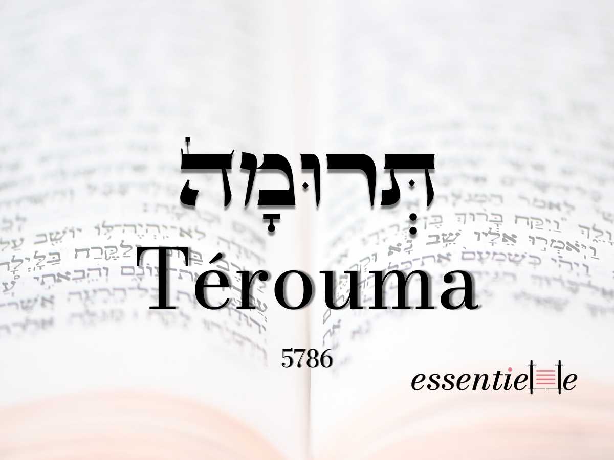 Térouma - La femme dans toute sa splendeur par Mariacha Drai sur essentiELLE