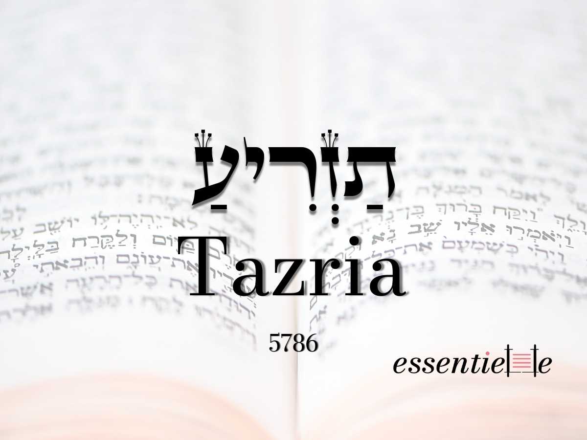 Tazria - Compter ce qui compte par Mariacha Drai sur essentiELLE