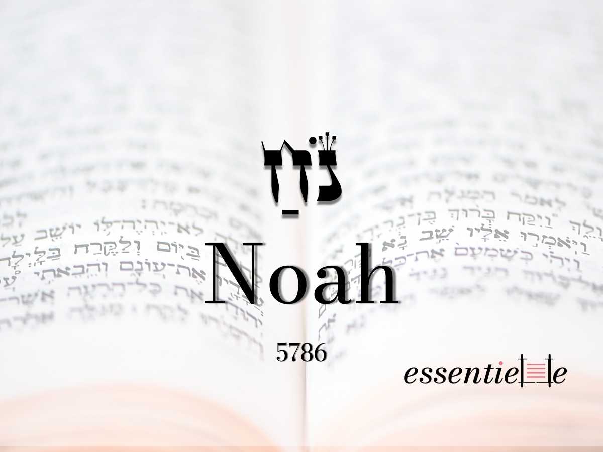 Noah - Sors de ta bulle ! par Mariacha Drai sur essentiELLE