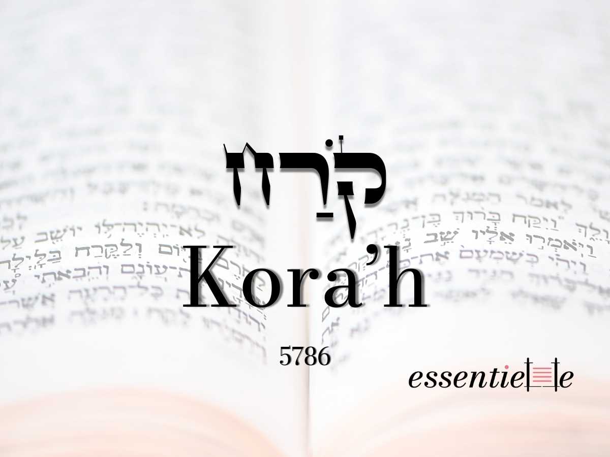 Kora'h - Rêver de grandeur par Mariacha Drai