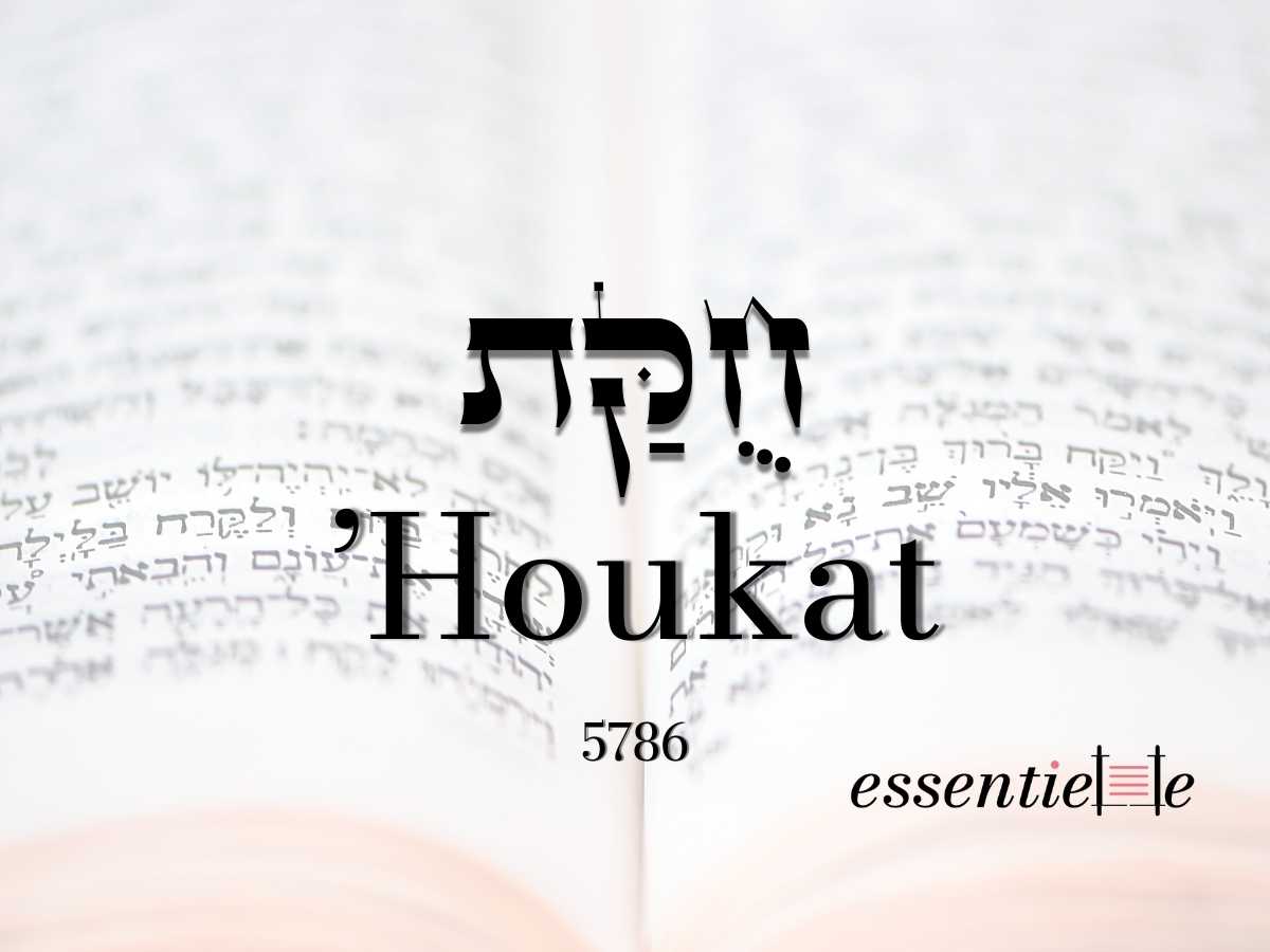 Houkat - Le puits de Miriam,  le secret des femmes qui transmettent la Torah par Mariacha Drai