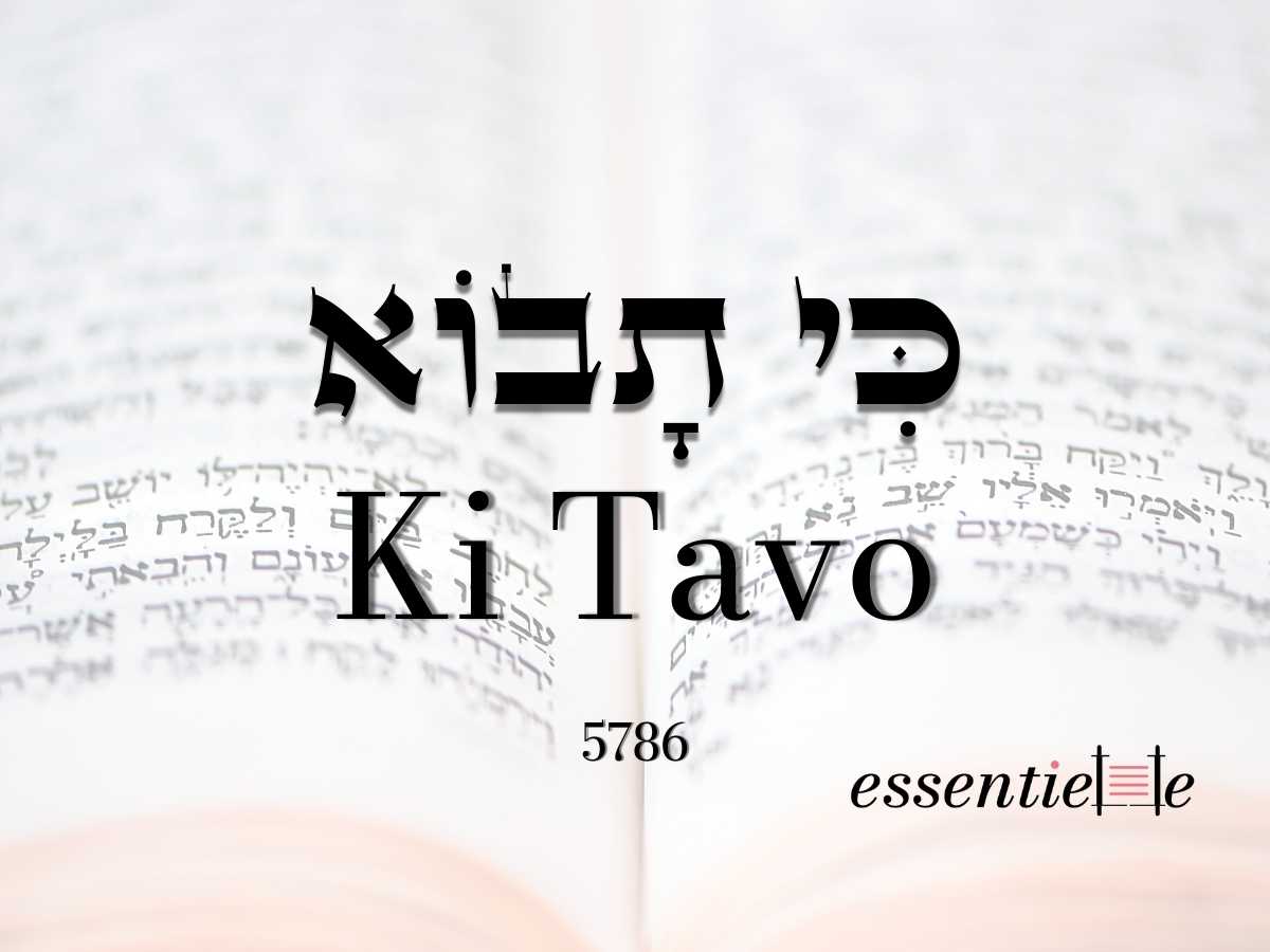 Ki Tavo par Mariacha Drai sur essentiELLE