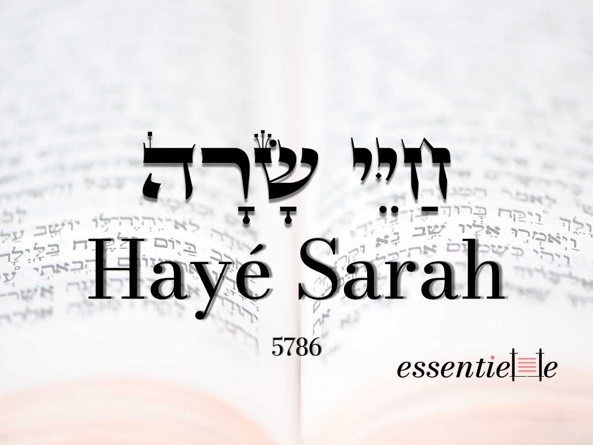 Hayé Sarah - les 3 frontières à réparer par Mariacha Drai sur essentiELLE