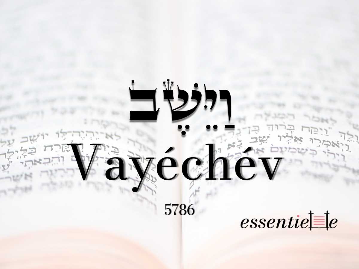 Vayéchév - Transformer les rêves en réalité par Mariacha Drai